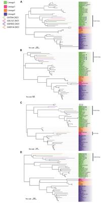 Whole-genome analysis of the recombination and evolution of newly identified NADC30-like porcine reproductive and respiratory syndrome virus strains circulated in Gansu province of China in 2023
